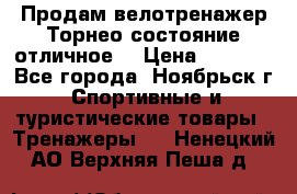 Продам велотренажер Торнео,состояние отличное. › Цена ­ 6 000 - Все города, Ноябрьск г. Спортивные и туристические товары » Тренажеры   . Ненецкий АО,Верхняя Пеша д.